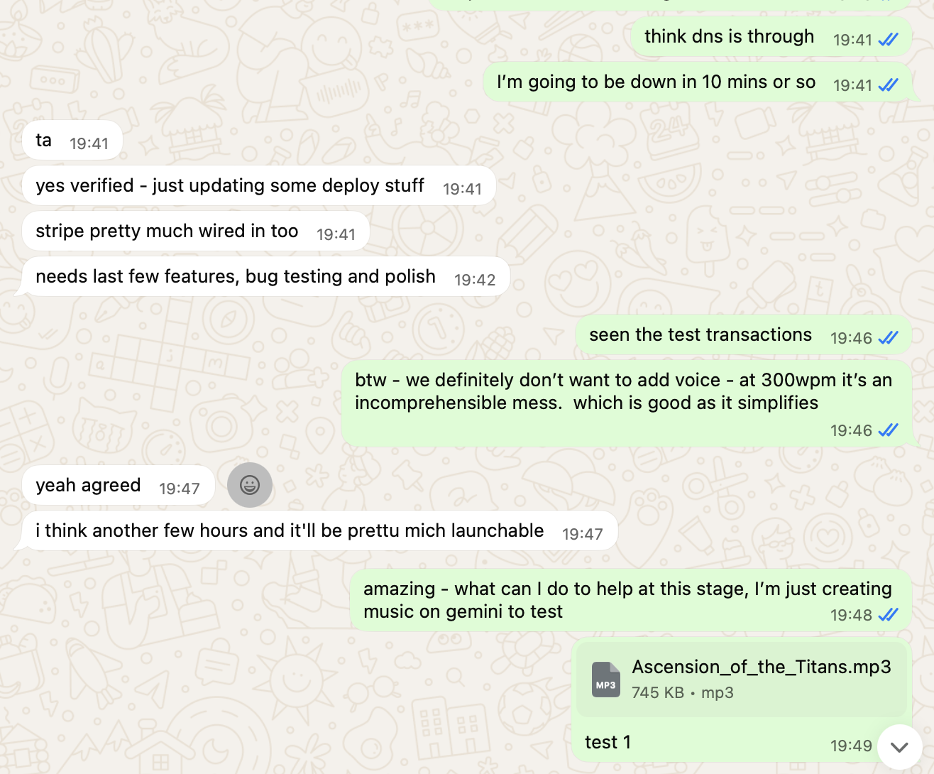WhatsApp chat about DNS, Stripe integration and features