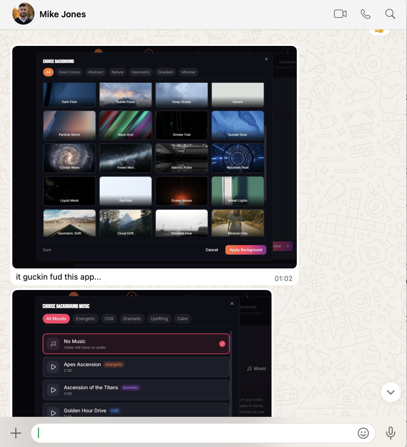 WhatsApp screenshot showing background and music features